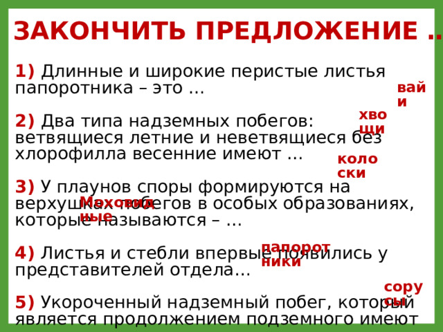 ЗАКОНЧИТЬ ПРЕДЛОЖЕНИЕ … 1)  Длинные и широкие перистые листья папоротника – это …  2)  Два типа надземных побегов: ветвящиеся летние и неветвящиеся без хлорофилла весенние имеют …  3)  У плаунов споры формируются на верхушках побегов в особых образованиях, которые называются – …  4)  Листья и стебли впервые появились у представителей отдела…  5)  Укороченный надземный побег, который является продолжением подземного имеют …  6)  У папоротников на нижней стороне листа образуются …, в которых созревают споры вайи хвощи колоски Моховидные Вайи; хвощи; колоски; моховидные; папоротники; сорусы папоротники сорусы  