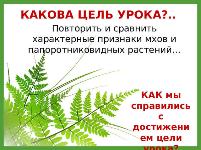 КАКОВА ЦЕЛЬ УРОКА?.. Повторить и сравнить характерные признаки мхов и папоротниковидных растений… КАК мы справились с достижением цели урока?  