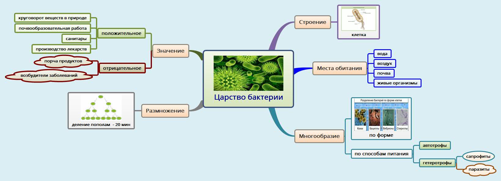 Интеллект-карта по теме 