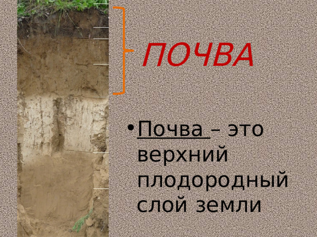 Презентация 3 класс окружающий мир что такое почва презентация