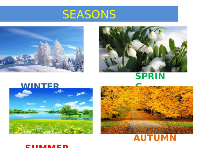 SEASONS  WINTER SPRING  SUMMER AUTUMN 