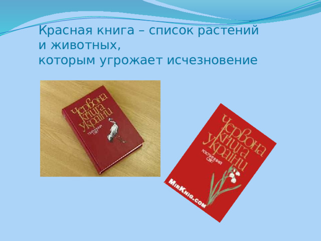 Красная книга – список растений и животных, которым угрожает исчезновение 