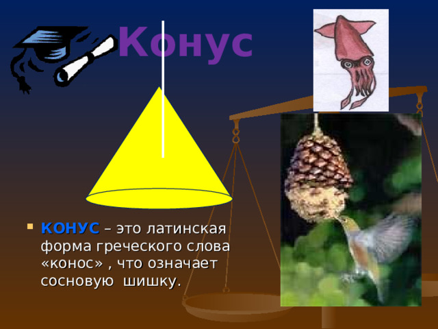 Конус КОНУС  – это латинская форма греческого слова «конос» , что означает сосновую шишку. 