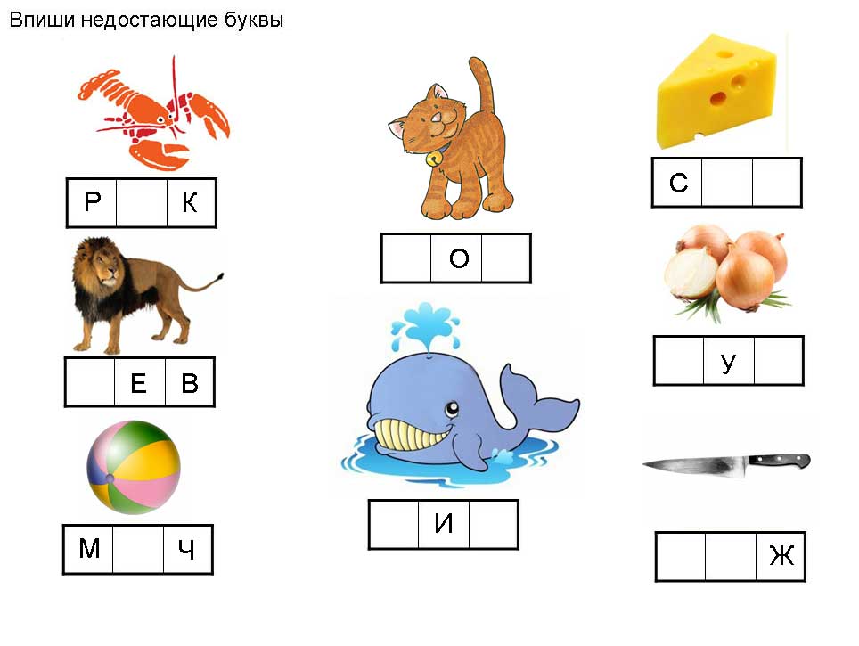 Впишите первые буквы названий животных образец л тяжелее г на 2 кг