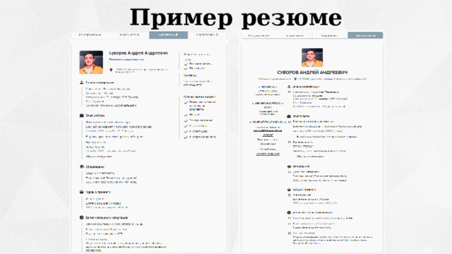  Пример резюме 