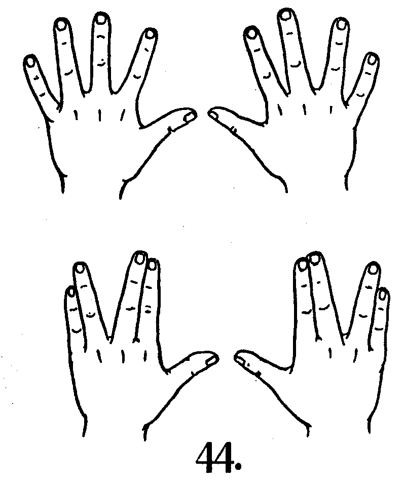 Что означает 2 руки