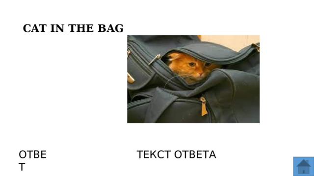 CAT IN THE BAG ОТВЕТ ТЕКСТ ОТВЕТА  