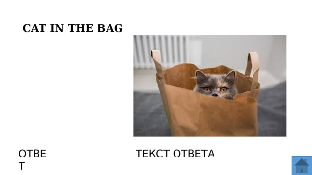CAT IN THE BAG ОТВЕТ ТЕКСТ ОТВЕТА  
