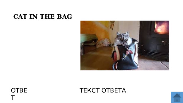 CAT IN THE BAG ОТВЕТ ТЕКСТ ОТВЕТА  