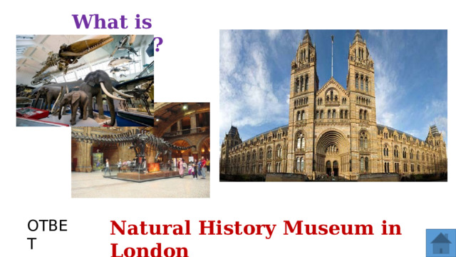 What is depicted? ОТВЕТ Natural History Museum in London  