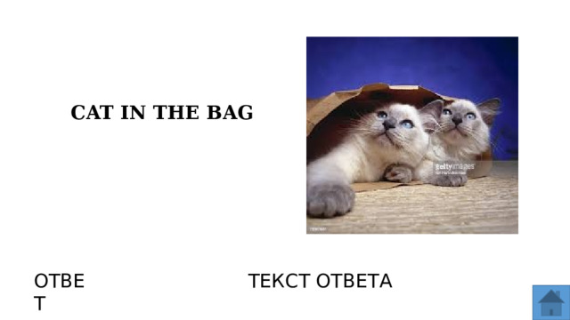 CAT IN THE BAG ОТВЕТ ТЕКСТ ОТВЕТА  