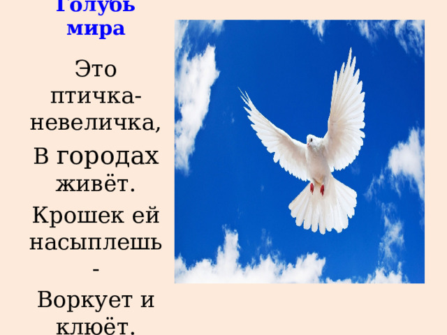 Голубь мира Это птичка-невеличка, В городах живёт. Крошек ей насыплешь- Воркует и клюёт. 