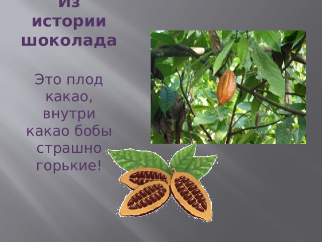 Из истории шоколада Это плод какао, внутри какао бобы страшно горькие! 