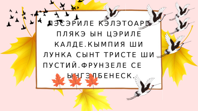 ПЭСЭРИЛЕ КЭЛЭТОАРЕ ПЛЯКЭ ЫН ЦЭРИЛЕ КАЛДЕ.КЫМПИЯ ШИ ЛУНКА СЫНТ ТРИСТЕ ШИ ПУСТИЙ.ФРУНЗЕЛЕ СЕ ЫНГЭЛБЕНЕСК. 