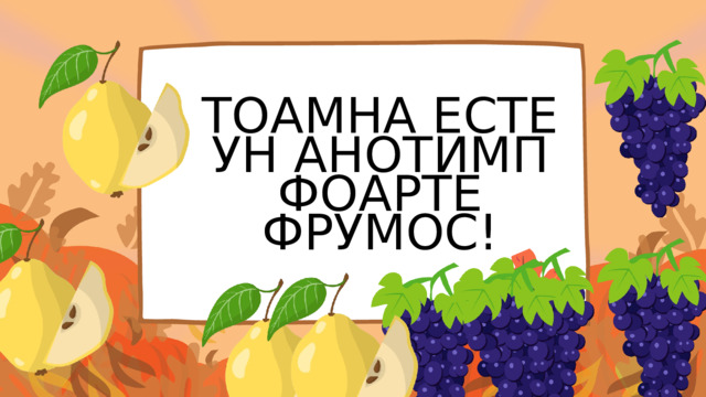 ТОАМНА ЕСТЕ УН АНОТИМП ФОАРТЕ ФРУМОС! 