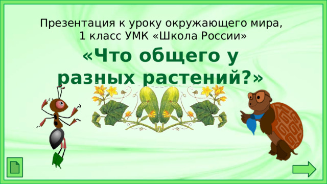 Презентация к уроку окружающего мира,  1 класс УМК «Школа России» «Что общего у разных растений?» 