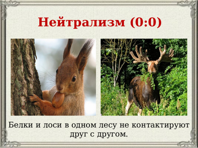 Нейтрализм (0:0) Белки и лоси в одном лесу не контактируют друг с другом.  