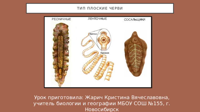 Типы червей Уроки биологии, Углубленное изучение биологии, Биология