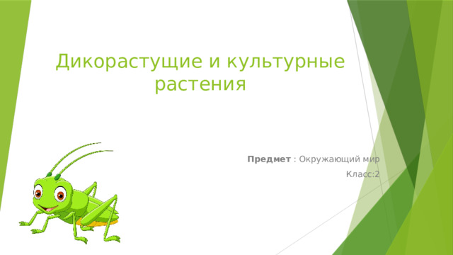 Дикорастущие и культурные растения Предмет  : Окружающий мир Класс:2 