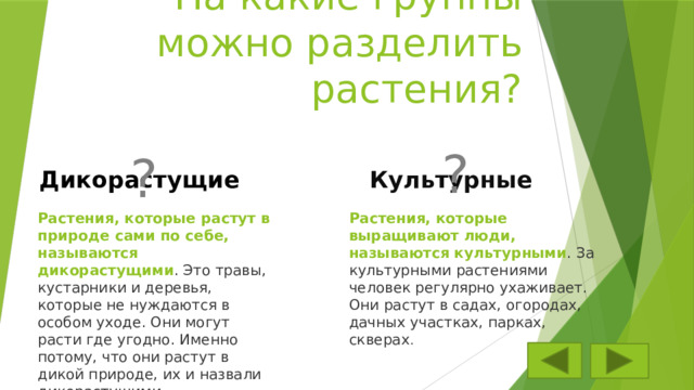 На какие группы можно разделить растения? ? ? Культурные Дикорастущие Растения, которые выращивают люди, называются культурными . За культурными растениями человек регулярно ухаживает. Они растут в садах, огородах, дачных участках, парках, скверах . Растения, которые растут в природе сами по себе, называются дикорастущими . Это травы, кустарники и деревья, которые не нуждаются в особом уходе. Они могут расти где угодно. Именно потому, что они растут в дикой природе, их и назвали дикорастущими 