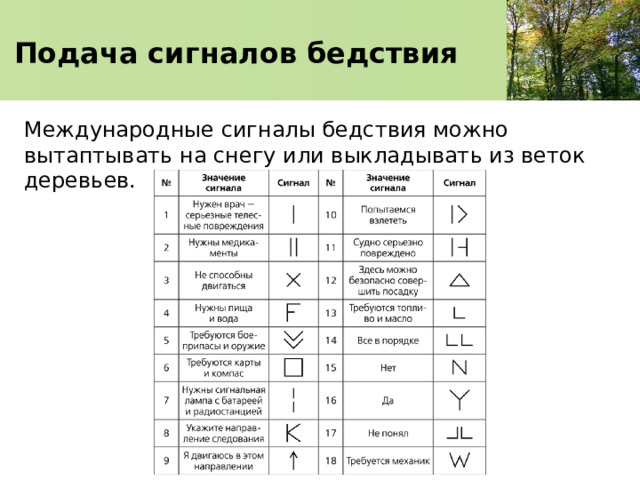    Подача сигналов бедствия     Международные сигналы бедствия можно вытаптывать на снегу или выкладывать из веток деревьев. 