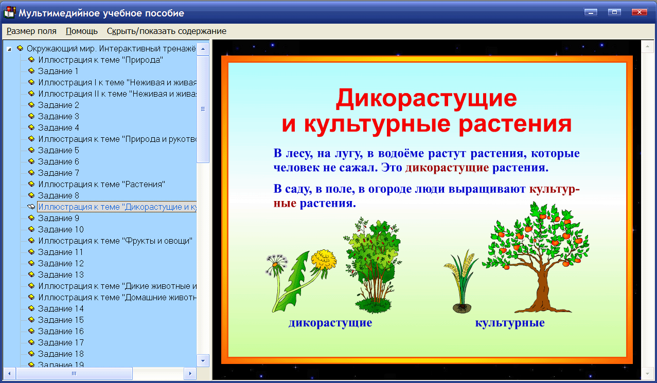 Виды обучающих программ для начальной школы