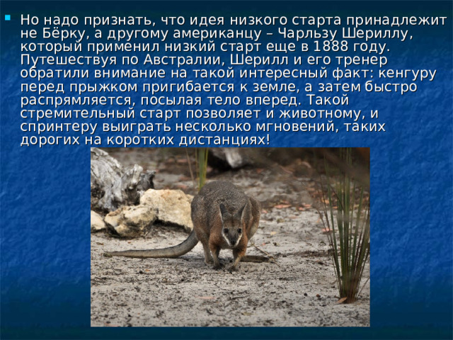 Но надо признать, что идея низкого старта принадлежит не Бёрку, а другому американцу – Чарльзу Шериллу, который применил низкий старт еще в 1888 году. Путешествуя по Австралии, Шерилл и его тренер обратили внимание на такой интересный факт: кенгуру перед прыжком пригибается к земле, а затем быстро распрямляется, посылая тело вперед. Такой стремительный старт позволяет и животному, и спринтеру выиграть несколько мгновений, таких дорогих на коротких дистанциях!  