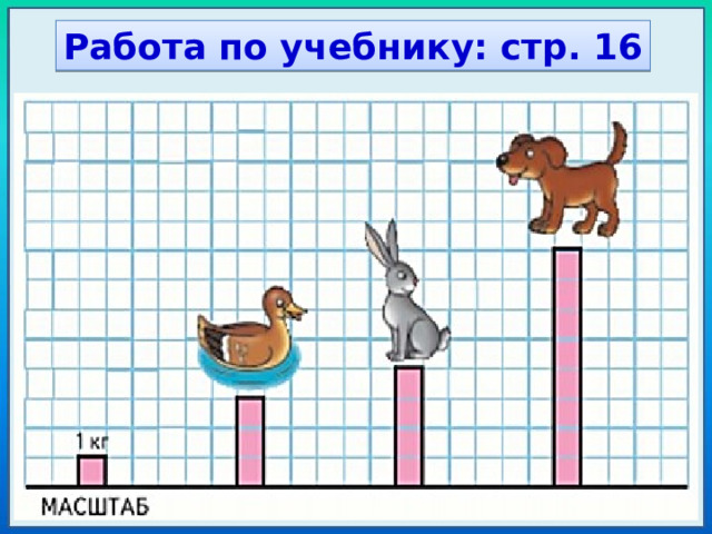 Работа по учебнику: стр. 16 