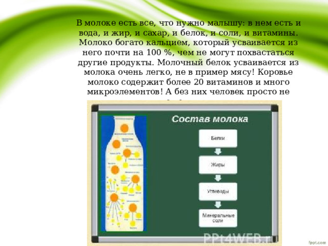         В молоке есть все, что нужно малышу: в нем есть и вода, и жир, и сахар, и белок, и соли, и витамины. Молоко богато кальцием, который усваивается из него почти на 100 %, чем не могут похвастаться другие продукты. Молочный белок усваивается из молока очень легко, не в пример мясу! Коровье молоко содержит более 20 витаминов и много микроэлементов! А без них человек просто не может жить.   