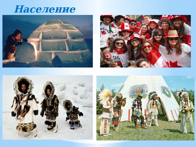 Население 