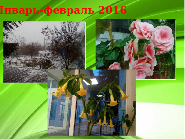 Январь-февраль 2016 