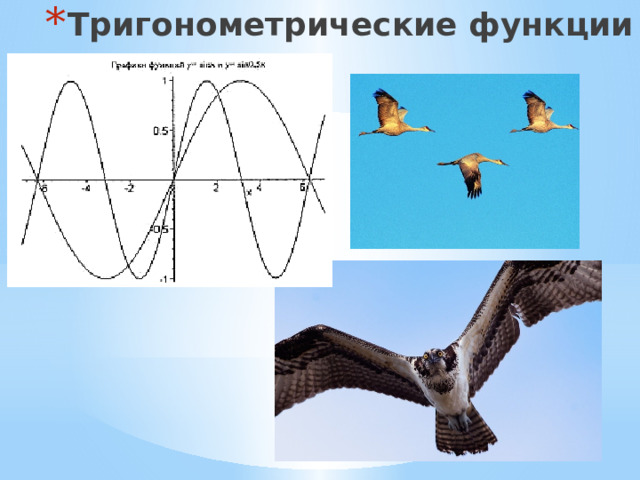 Тригонометрические функции 