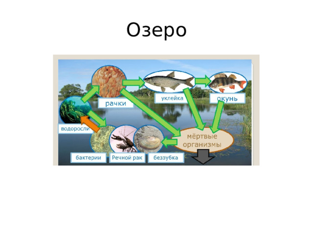 Озеро 