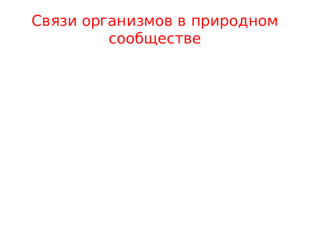 Связи организмов в природном сообществе 