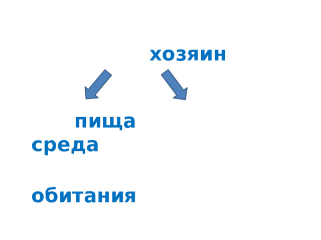  хозяин  пища среда  обитания 