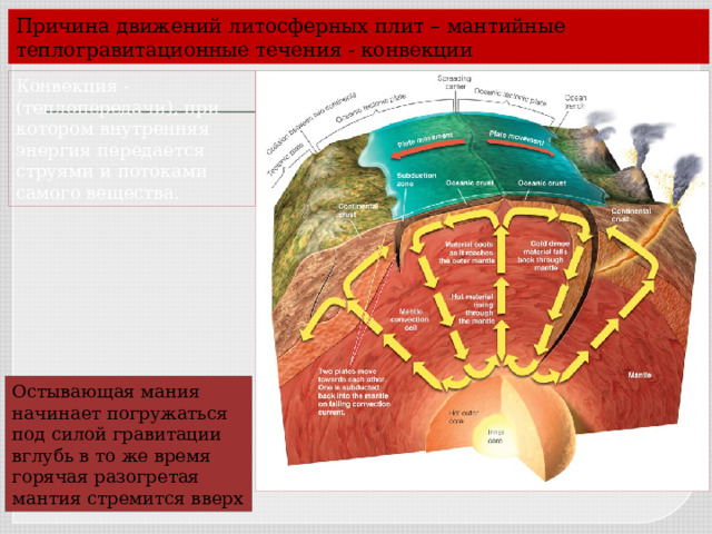 Причина движений литосферных плит – мантийные теплогравитационные течения - конвекции Конвекция - (теплопередачи), при котором внутренняя энергия передается струями и потоками самого вещества. Остывающая мания начинает погружаться под силой гравитации вглубь в то же время горячая разогретая мантия стремится вверх 