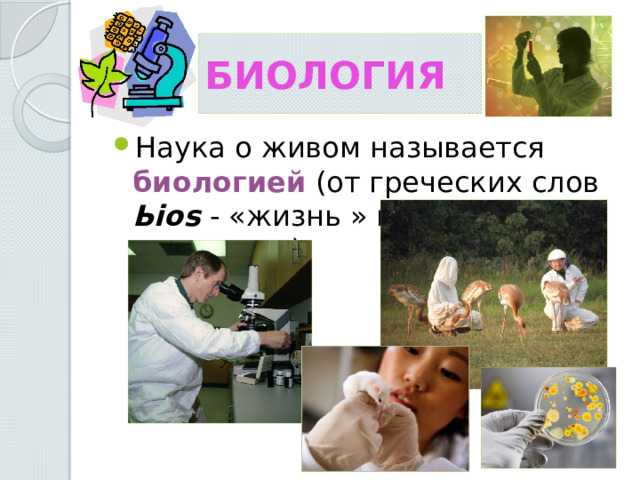 Биология Наука о живом называется биологией (от греческих слов Ьios - «жизнь » и logos  - «учение » ). 