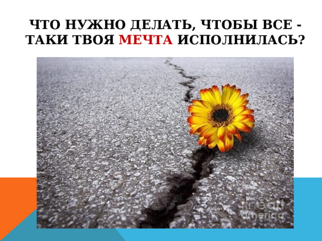 ЧТО НУЖНО ДЕЛАТЬ, ЧТОБЫ ВСЕ -ТАКИ ТВОЯ МЕЧТА ИСПОЛНИЛАСЬ?    