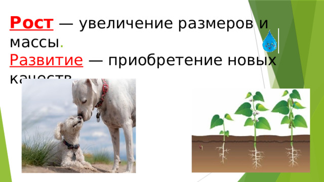 Рост   — увеличение размеров и массы .  Развитие   — приобретение новых качеств. 