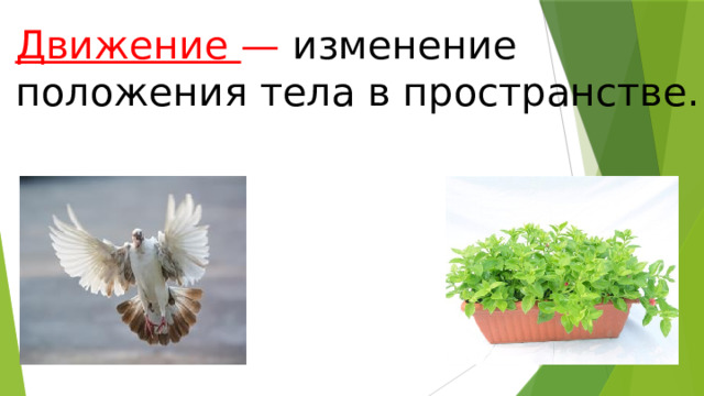 Движение  —  изменение положения тела в пространстве. 