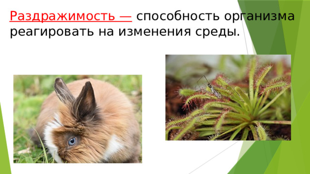 Раздражимость —  способность организма реагировать на изменения среды. 