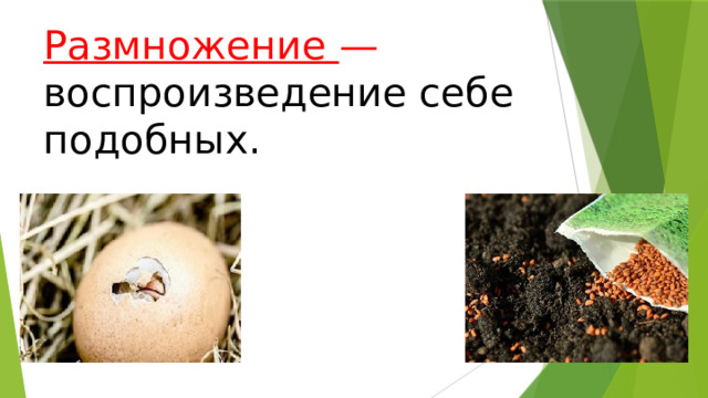 Размножение  —  воспроизведение себе подобных. 