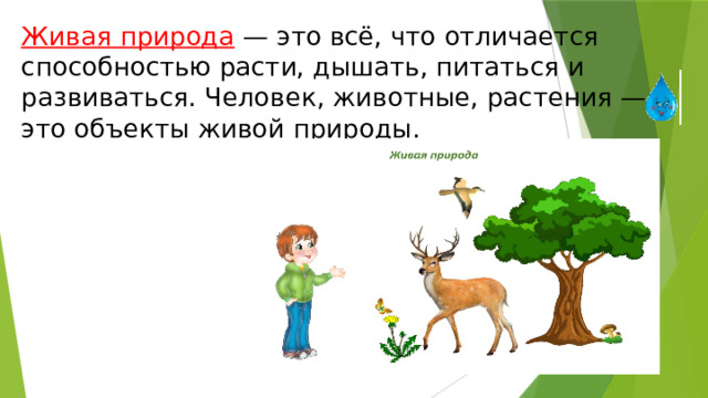 Живая природа  — это всё, что отличается способностью расти, дышать, питаться и развиваться. Человек, животные, растения — это объекты живой природы. 