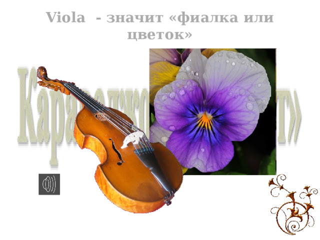 Viola - значит «фиалка или цветок» 