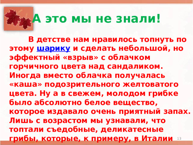 . А это мы не знали!  В детстве нам нравилось топнуть по этому  шарику  и сделать небольшой, но эффектный «взрыв» с облачком горчичного цвета над сандаликом. Иногда вместо облачка получалась «каша» подозрительного желтоватого цвета. Ну а в свежем, молодом грибке было абсолютно белое вещество, которое издавало очень приятный запах. Лишь с возрастом мы узнавали, что топтали съедобные, деликатесные грибы, которые, к примеру, в Италии ценятся дороже шампиньонов – дождевики.     