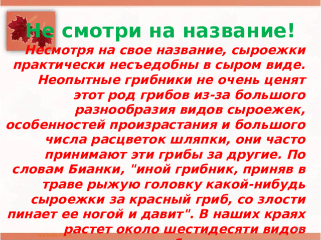 Не смотри на название! Несмотря на свое название, сыроежки практически несъедобны в сыром виде. Неопытные грибники не очень ценят этот род грибов из-за большого разнообразия видов сыроежек, особенностей произрастания и большого числа расцветок шляпки, они часто принимают эти грибы за другие. По словам Бианки, 