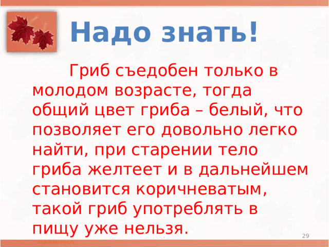 Надо знать!  Гриб съедобен только в молодом возрасте, тогда общий цвет гриба – белый, что позволяет его довольно легко найти, при старении тело гриба желтеет и в дальнейшем становится коричневатым, такой гриб употреблять в пищу уже нельзя. .  