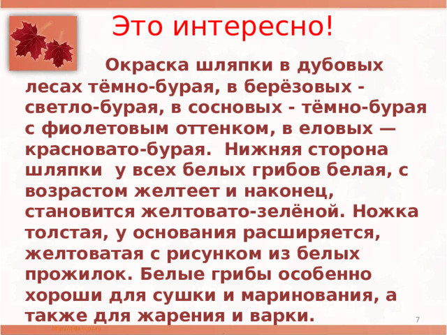 Это интересно! .  Окраска шляпки в дубовых лесах тёмно-бурая, в берёзовых - светло-бурая, в сосновых - тёмно-бурая с фиолетовым оттенком, в еловых — красновато-бурая. Нижняя сторона шляпки у всех белых грибов белая, с возрастом желтеет и наконец, становится желтовато-зелёной. Ножка толстая, у основания расширяется, желтоватая с рисунком из белых прожилок. Белые грибы особенно хороши для сушки и маринования, а также для жарения и варки.  