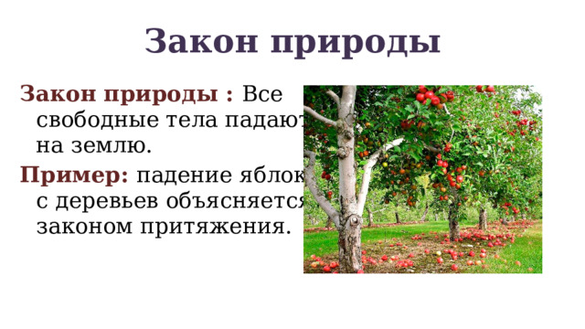 Закон природы Закон природы : Все свободные тела падают на землю. Пример: падение яблок с деревьев объясняется законом притяжения. 