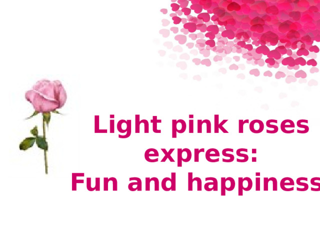 Light pink roses express: Fun and happiness. 